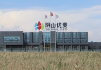 權(quán)威！陰山優(yōu)麥被認(rèn)證為“中國有機燕麥第 一品牌”